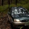 View the image: Bunyip SP 11Jan12_425_Ew
