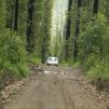 View the image: Bunyip SP 11Jan12_429_Ew