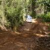 View the image: Bunyip SP 11Jan12_435_Ew