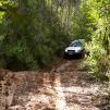 View the image: Bunyip SP 11Jan12_441_Ew