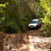 View the image: Bunyip SP 11Jan12_442_Ew