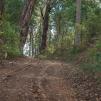View the image: OLYMPUS DIGITAL CAMERA
