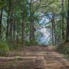 View the image: OLYMPUS DIGITAL CAMERA