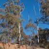 View the image: Olympus E-30