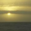 View the image: OLYMPUS DIGITAL CAMERA