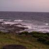 View the image: OLYMPUS DIGITAL CAMERA