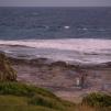 View the image: OLYMPUS DIGITAL CAMERA