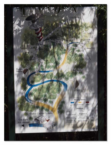 Otway Fly canopy and forest floor walk