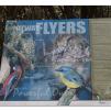 View the image: Otway Fly canopy and forest floor walk