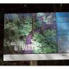 View the image: Otway Fly canopy and forest floor walk