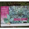 View the image: Otway Fly canopy and forest floor walk