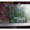 View the image: Otway Fly canopy and forest floor walk