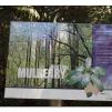 View the image: Otway Fly canopy and forest floor walk