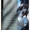 View the image: Otway Fly canopy and forest floor walk
