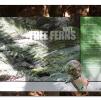 View the image: Otway Fly canopy and forest floor walk