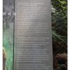 View the image: Otway Fly canopy and forest floor walk