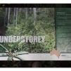 View the image: Otway Fly canopy and forest floor walk