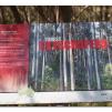 View the image: Otway Fly canopy and forest floor walk