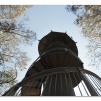 View the image: Otway Fly canopy and forest floor walk