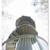 View the image: Otway Fly canopy and forest floor walk