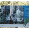 View the image: Otway Fly canopy and forest floor walk