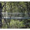 View the image: Otway Fly canopy and forest floor walk