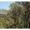 View the image: Otway Fly canopy and forest floor walk