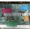 View the image: Otway Fly canopy and forest floor walk
