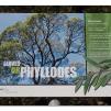 View the image: Otway Fly canopy and forest floor walk