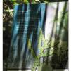 View the image: Otway Fly canopy and forest floor walk