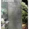 View the image: Otway Fly canopy and forest floor walk