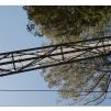 View the image: Otway Fly canopy and forest floor walk