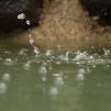 View the image: OLYMPUS DIGITAL CAMERA