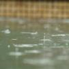 View the image: OLYMPUS DIGITAL CAMERA