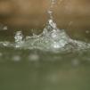 View the image: OLYMPUS DIGITAL CAMERA
