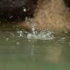 View the image: OLYMPUS DIGITAL CAMERA