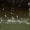 View the image: OLYMPUS DIGITAL CAMERA