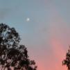 View the image: DSCN0930