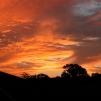 View the image: DSCN0932