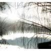 View the image: Olympus OM-D E-M1 MkII MILC