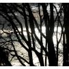 View the image: Olympus OM-D E-M1 MkII MILC