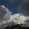 View the image: OLYMPUS DIGITAL CAMERA