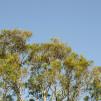 View the image: OLYMPUS DIGITAL CAMERA
