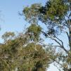 View the image: OLYMPUS DIGITAL CAMERA