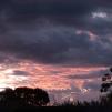 View the image: OLYMPUS E-30