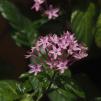 View the image: OLYMPUS DIGITAL CAMERA