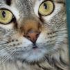 View the image: OLYMPUS DIGITAL CAMERA