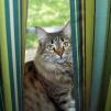 View the image: OLYMPUS DIGITAL CAMERA