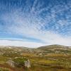 View the image: OLYMPUS DIGITAL CAMERA