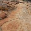 View the image: P1020239_JPG_RH_Ew
